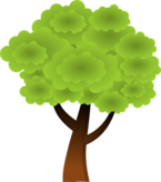 Baum
