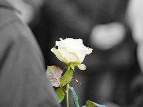 Eindrücke vom Holocaust-Gedenktag am 27. Januar 2025 auf dem jüdischen Friedhof Plettenberg.