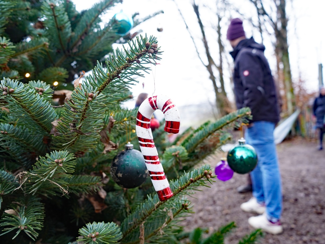 Eindrücke von der Zertifizierung zur Naturpark-Kita Himmelmert.