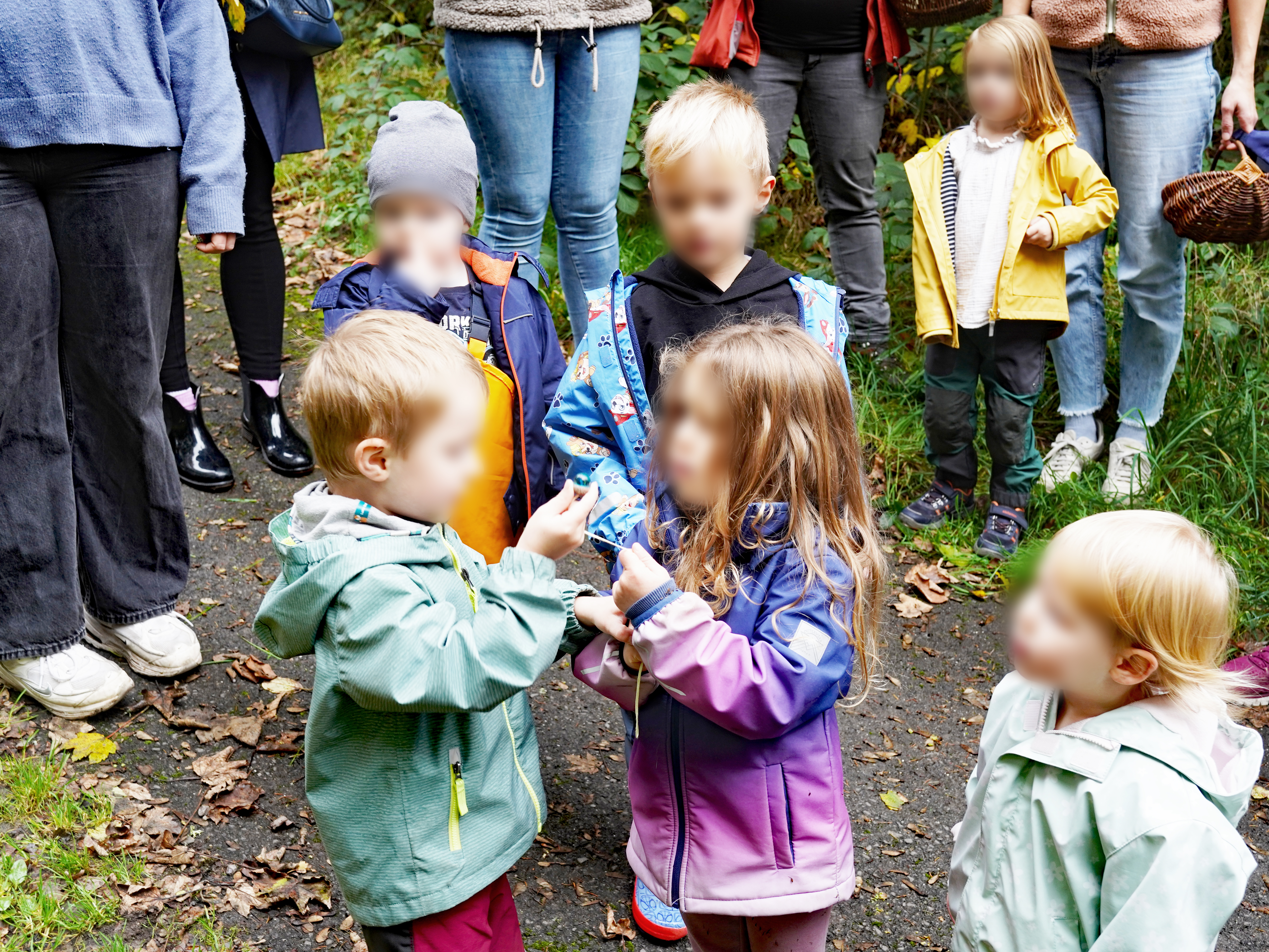 Eindrücke von der Kräuterwanderung der Kita Landemert mit Kräuterhexe und Erzieherin Ina Jäger, im Oktober 2025.