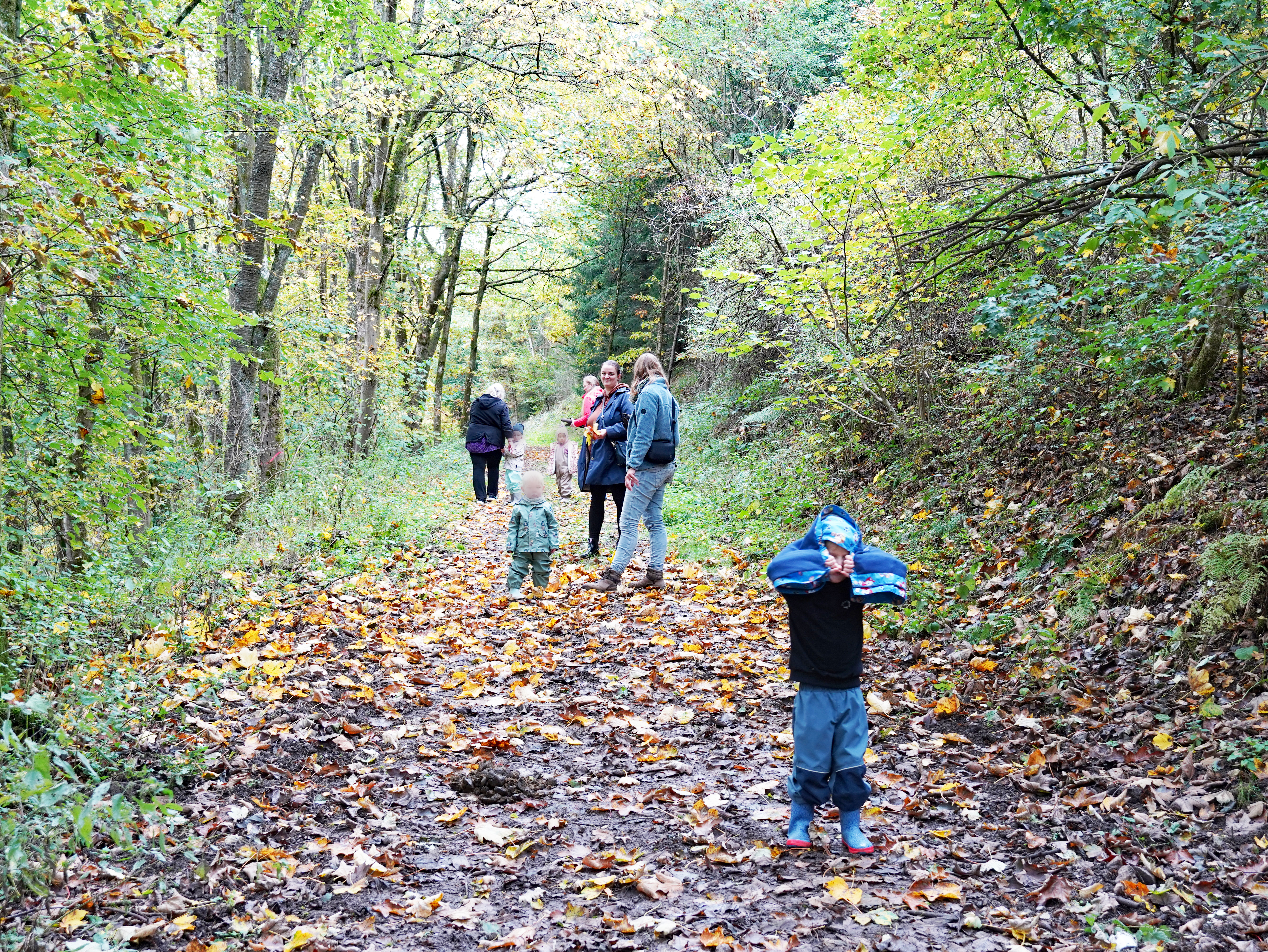 Eindrücke von der Kräuterwanderung der Kita Landemert mit Kräuterhexe und Erzieherin Ina Jäger, im Oktober 2025.