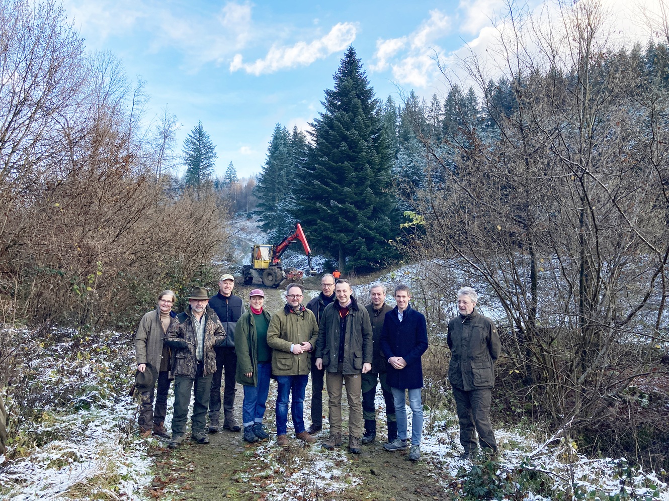 Eindrücke von der Kanzlertanne im Wald der Familie von Wrede, vor der Fällung.