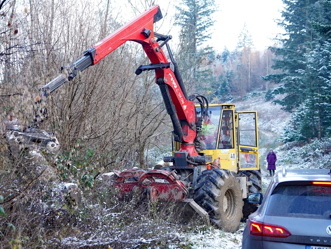 Eindrücke von der Kanzlertanne im Wald der Familie von Wrede, vor der Fällung.