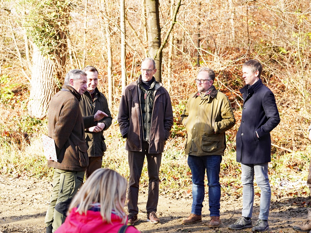 Eindrücke von der Kanzlertanne im Wald der Familie von Wrede, vor der Fällung.