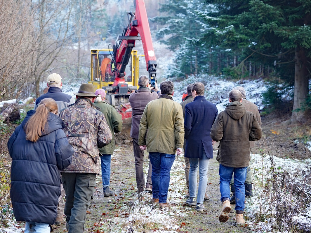 Eindrücke von der Kanzlertanne im Wald der Familie von Wrede, vor der Fällung.