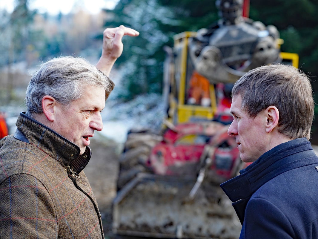 Eindrücke von der Kanzlertanne im Wald der Familie von Wrede, vor der Fällung.