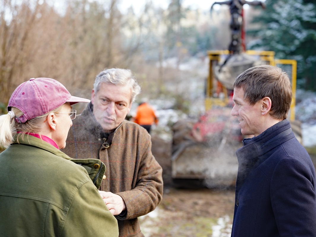 Eindrücke von der Kanzlertanne im Wald der Familie von Wrede, vor der Fällung.