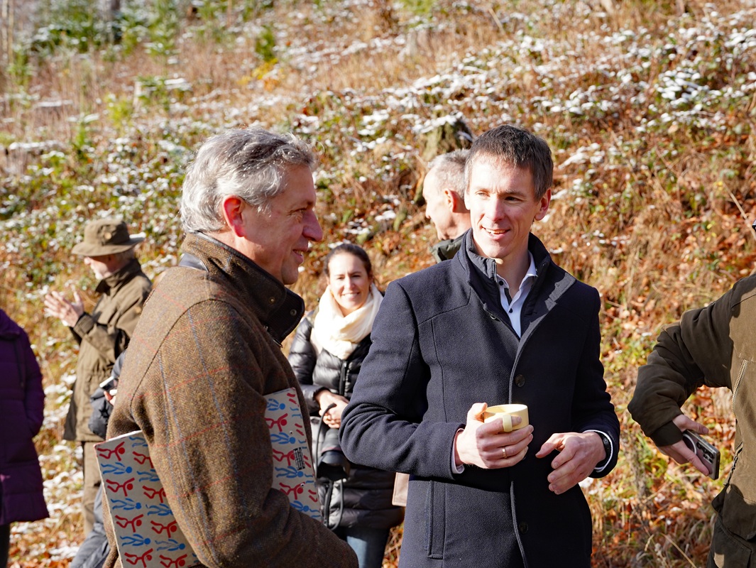 Eindrücke von der Kanzlertanne im Wald der Familie von Wrede, vor der Fällung.
