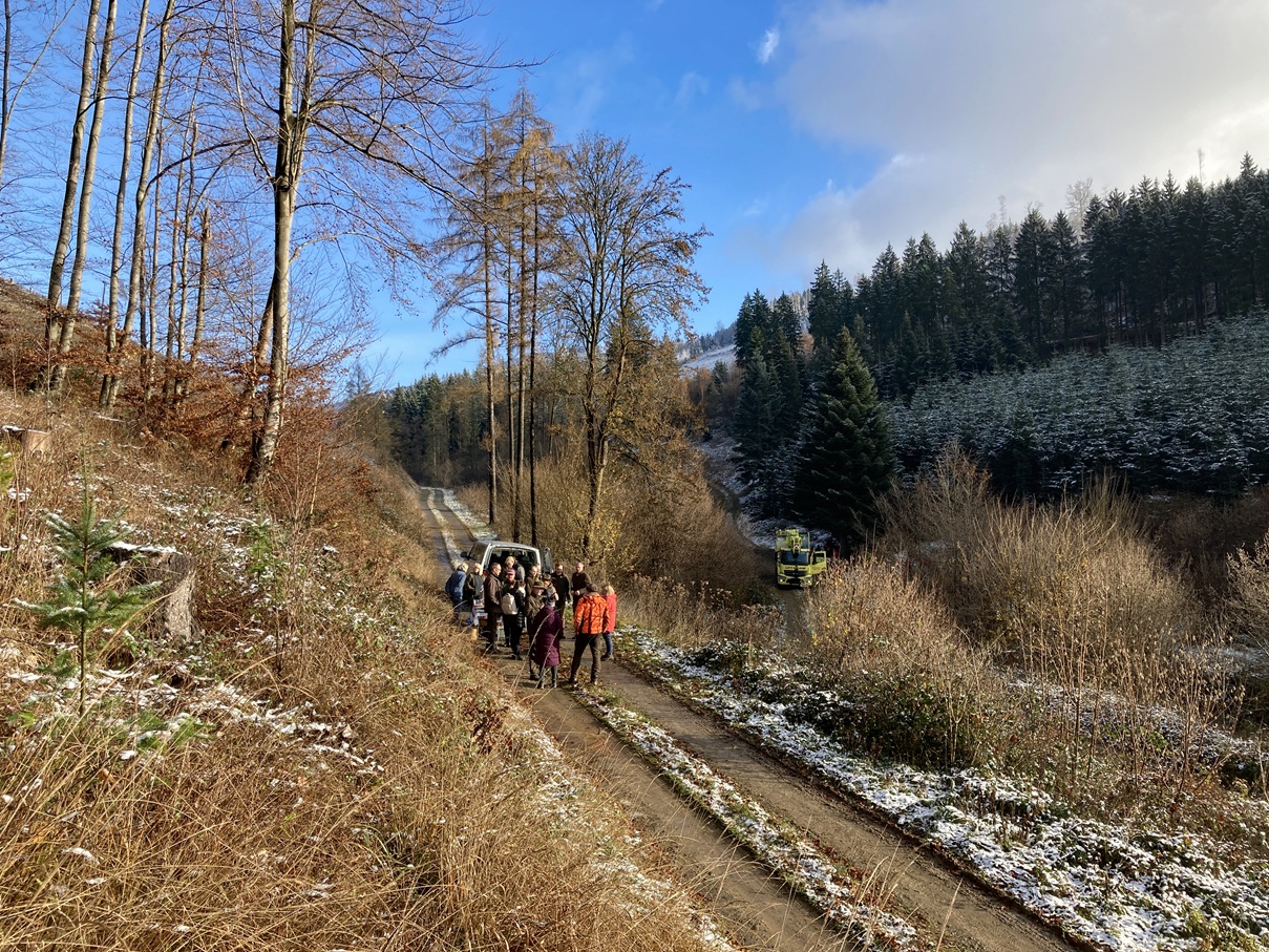 Eindrücke von der Kanzlertanne im Wald der Familie von Wrede, vor der Fällung.