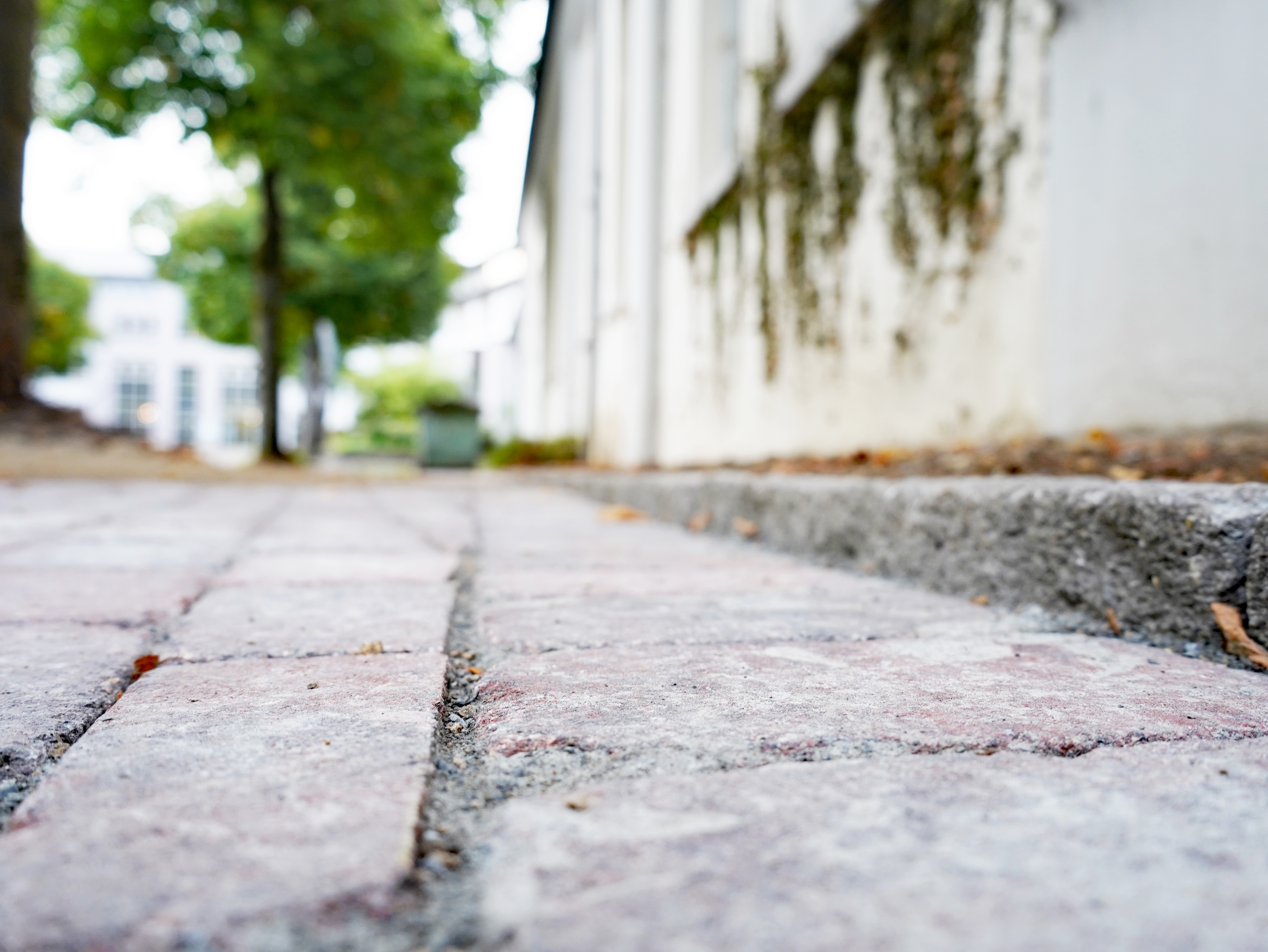 Eindrücke von den Bauarbeiten zur Erweiterung der Marktfläche am Rathausinnenhof und der Schützenhalle.