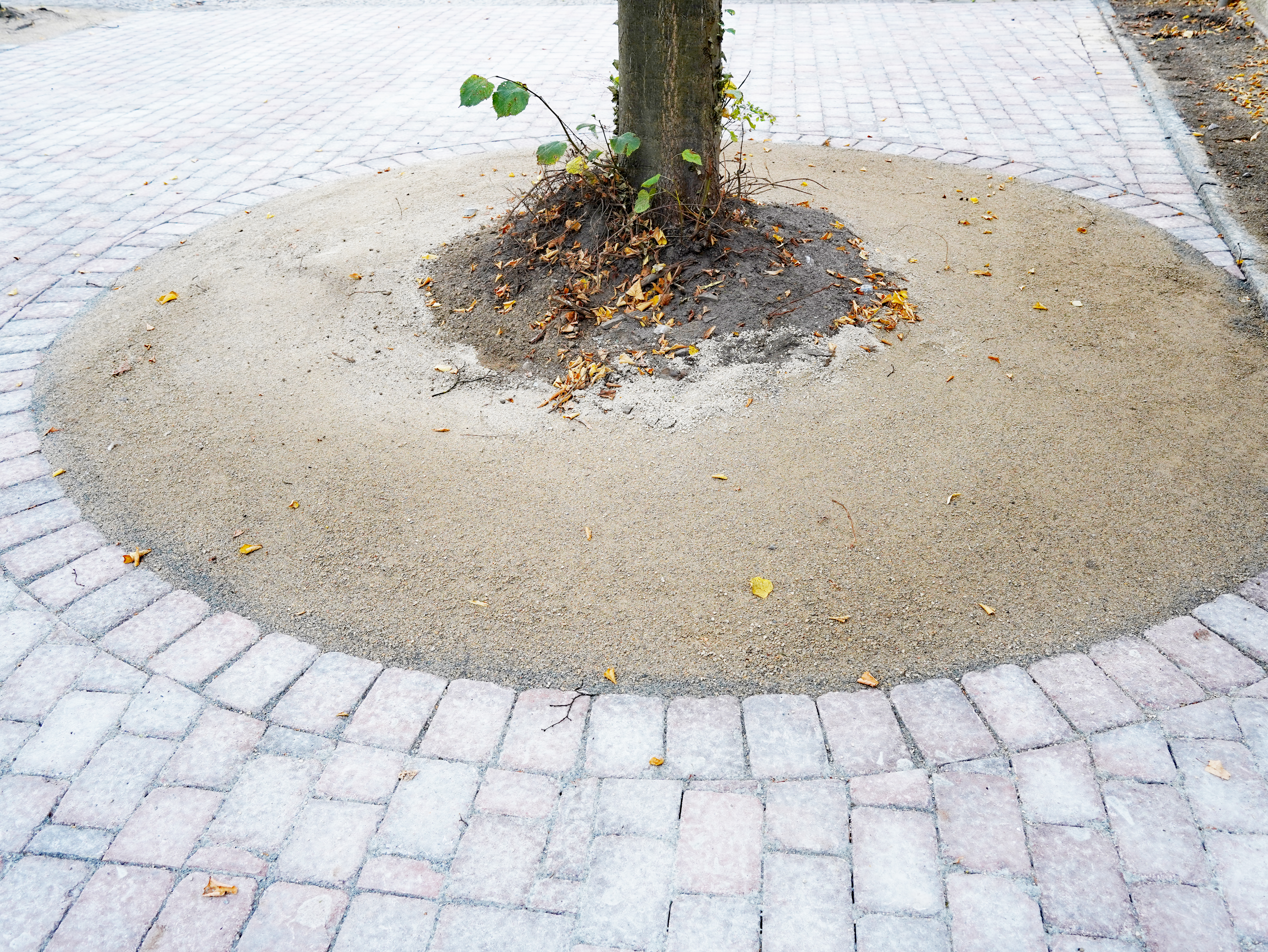 Eindrücke von den Bauarbeiten zur Erweiterung der Marktfläche am Rathausinnenhof und der Schützenhalle.