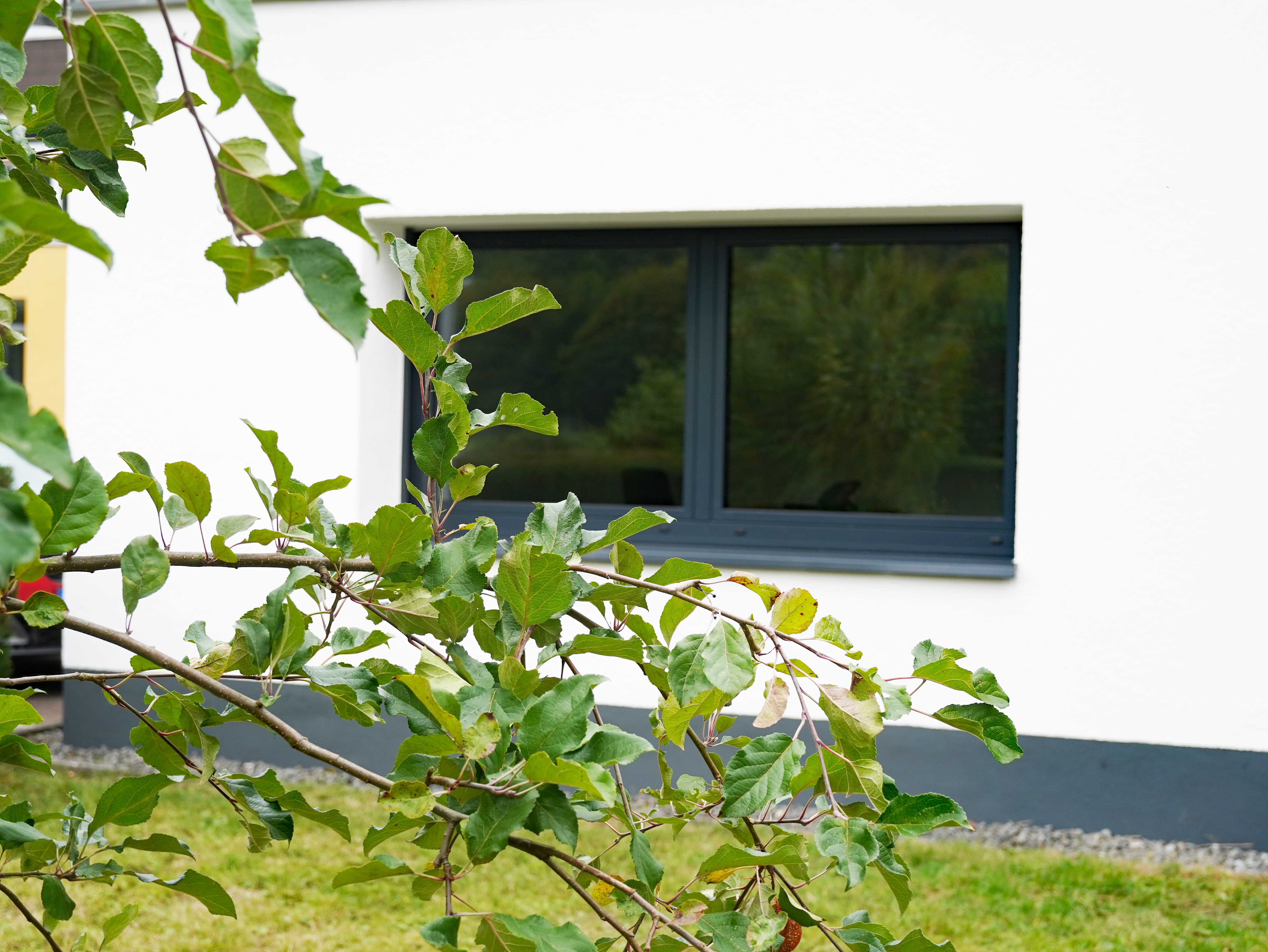 Ein Blick aus dem Garten des Hausmeisterhauses auf ein neues Fenster.